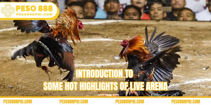 Introduction to some hot highlights of live arena