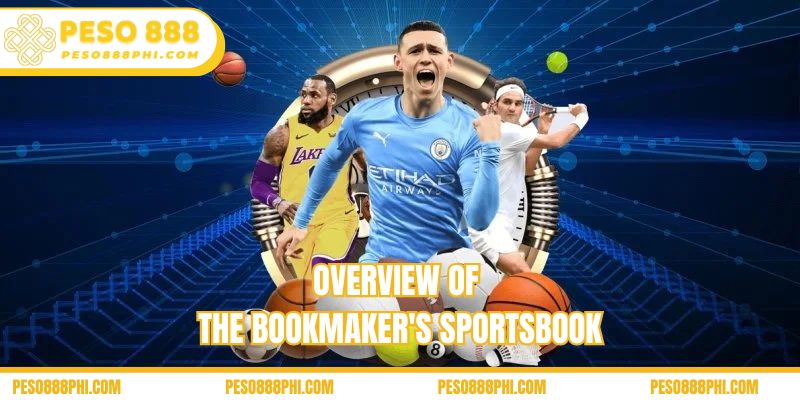 Overview of the bookmaker's sportsbook