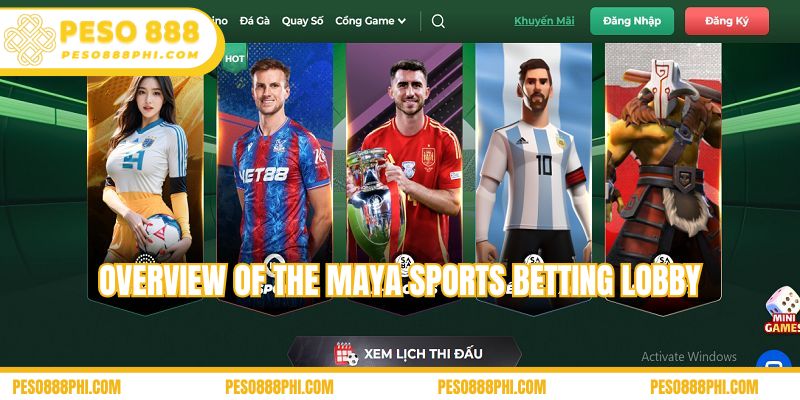 Overview of the Maya sports betting lobby