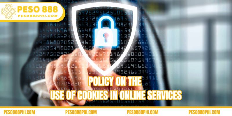 Policy on the use of cookies in online services