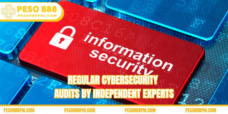 Regular cybersecurity audits by independent experts