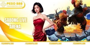Sabong live arena