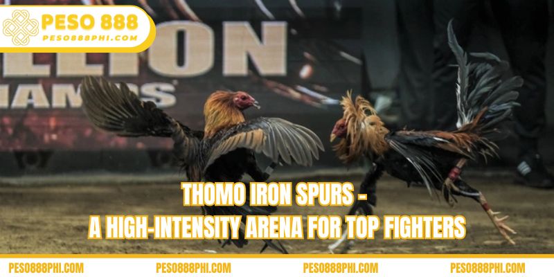 Thomo iron spurs – A high-intensity arena for top fighters